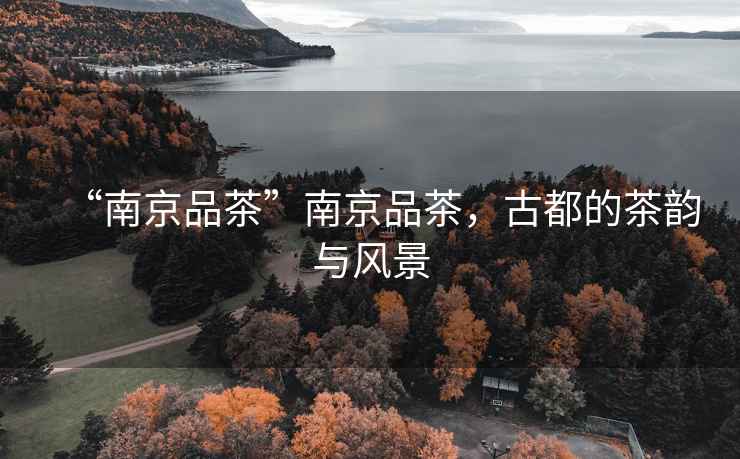 “南京品茶”南京品茶，古都的茶韻與風(fēng)景