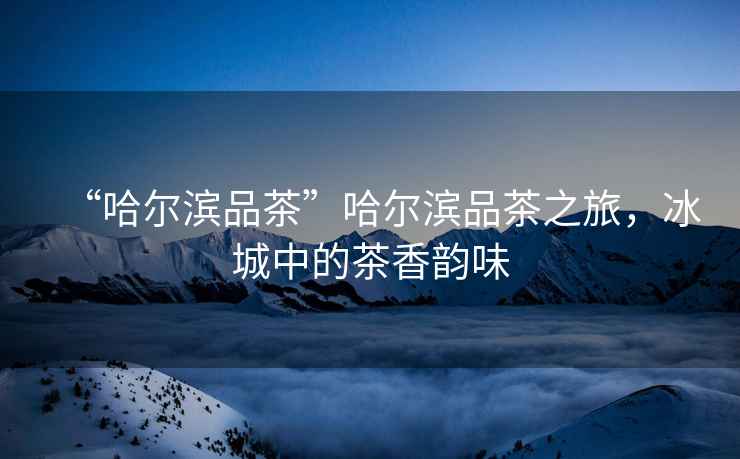 “哈爾濱品茶”哈爾濱品茶之旅，冰城中的茶香韻味