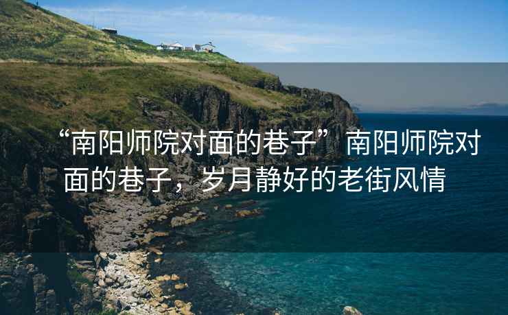 “南陽(yáng)師院對面的巷子”南陽(yáng)師院對面的巷子，歲月靜好的老街風(fēng)情