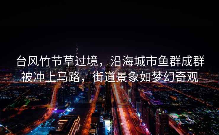 臺風(fēng)竹節草過(guò)境，沿海城市魚(yú)群成群被沖上馬路，街道景象如夢(mèng)幻奇觀(guān)