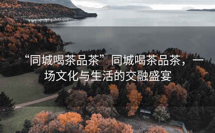 “同城喝茶品茶”同城喝茶品茶，一場(chǎng)文化與生活的交融盛宴