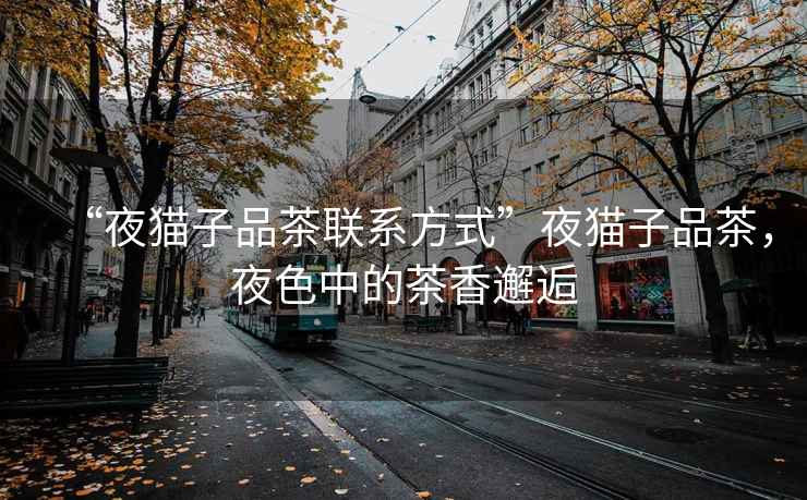 “夜貓子品茶聯(lián)系方式”夜貓子品茶，夜色中的茶香邂逅