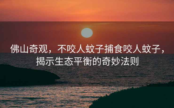 佛山奇觀(guān)，不咬人蚊子捕食咬人蚊子，揭示生態(tài)平衡的奇妙法則