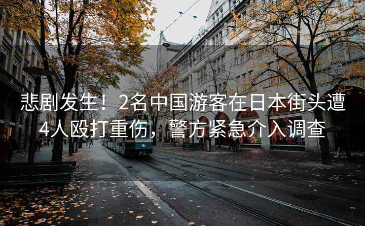 悲劇發(fā)生！2名中國游客在日本街頭遭4人毆打重傷，警方緊急介入調查