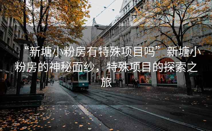 “新塘小粉房有特殊項目嗎”新塘小粉房的神秘面紗，特殊項目的探索之旅