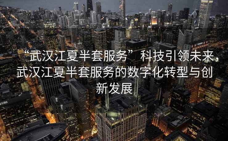 “武漢江夏半套服務(wù)”科技引領(lǐng)未來(lái)，武漢江夏半套服務(wù)的數字化轉型與創(chuàng  )新發(fā)展