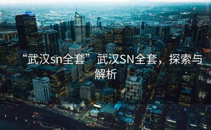“武漢sn全套”武漢SN全套，探索與解析