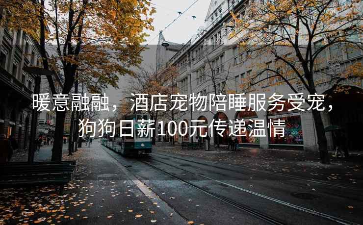 暖意融融，酒店寵物陪睡服務(wù)受寵，狗狗日薪100元傳遞溫情