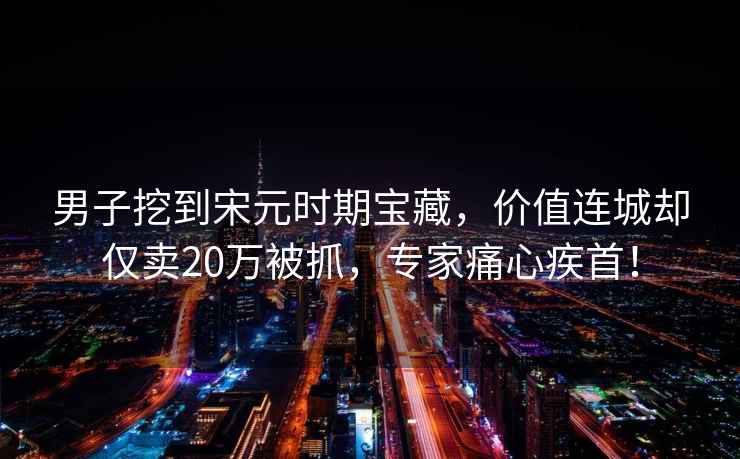 男子挖到宋元時(shí)期寶藏，價(jià)值連城卻僅賣(mài)20萬(wàn)被抓，專(zhuān)家痛心疾首！