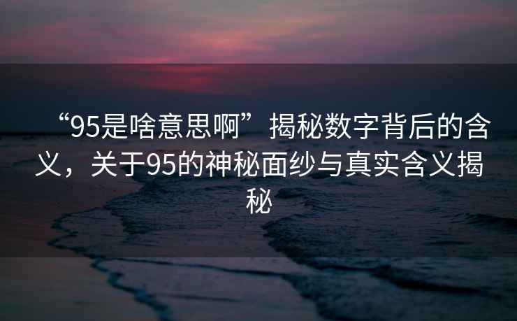 “95是啥意思啊”揭秘數字背后的含義，關(guān)于95的神秘面紗與真實(shí)含義揭秘