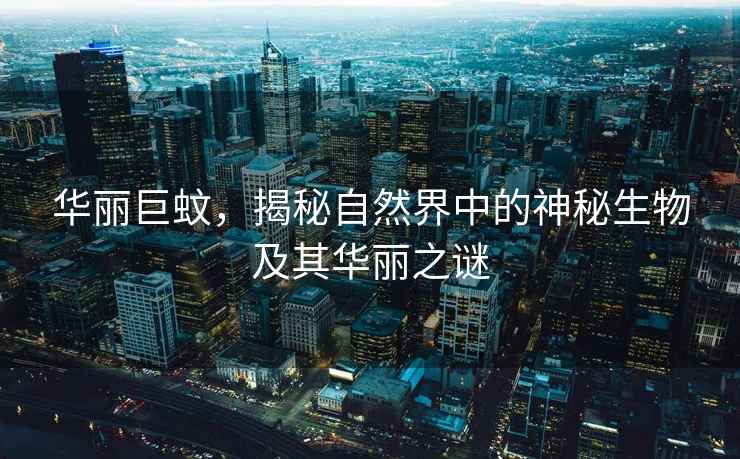 華麗巨蚊，揭秘自然界中的神秘生物及其華麗之謎
