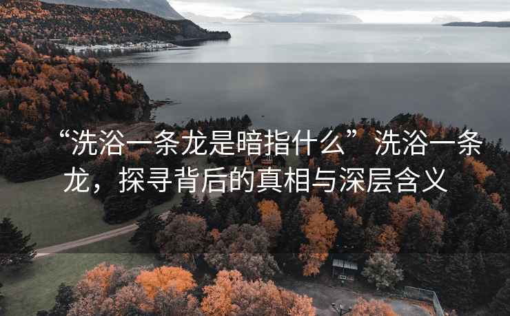 “洗浴一條龍是暗指什么”洗浴一條龍，探尋背后的真相與深層含義