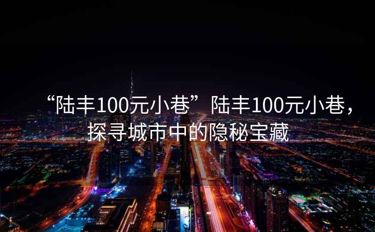 “陸豐100元小巷”陸豐100元小巷，探尋城市中的隱秘寶藏