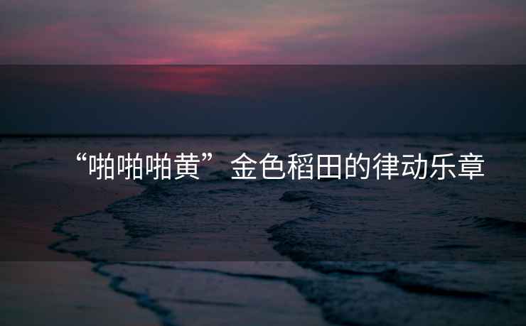 “啪啪啪黃”金色稻田的律動(dòng)樂(lè )章