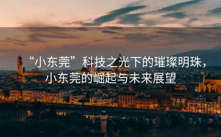 “小東莞”科技之光下的璀璨明珠，小東莞的崛起與未來(lái)展望