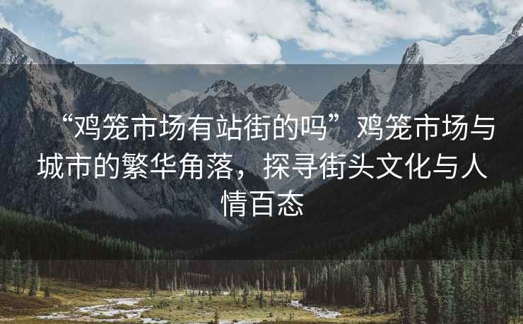 “雞籠市場(chǎng)有站街的嗎”雞籠市場(chǎng)與城市的繁華角落，探尋街頭文化與人情百態(tài)