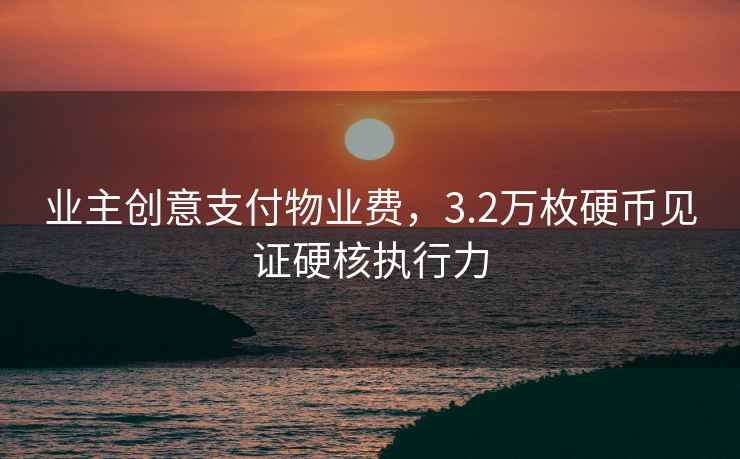 業(yè)主創(chuàng  )意支付物業(yè)費，3.2萬(wàn)枚硬幣見(jiàn)證硬核執行力