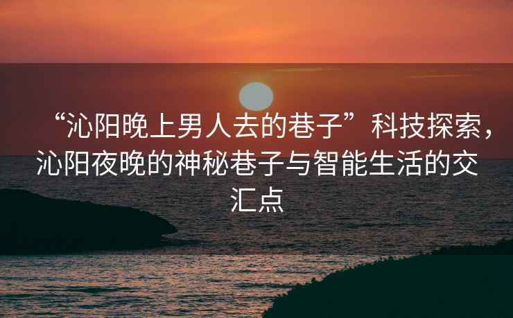 “沁陽(yáng)晚上男人去的巷子”科技探索，沁陽(yáng)夜晚的神秘巷子與智能生活的交匯點(diǎn)