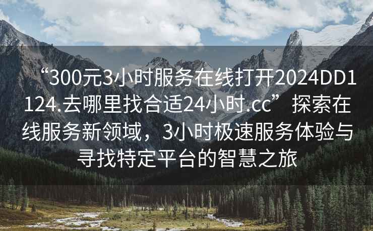 “300元3小時(shí)服務(wù)在線(xiàn)打開(kāi)2024DD1124.去哪里找合適24小時(shí).cc”探索在線(xiàn)服務(wù)新領(lǐng)域，3小時(shí)極速服務(wù)體驗與尋找特定平臺的智慧之旅