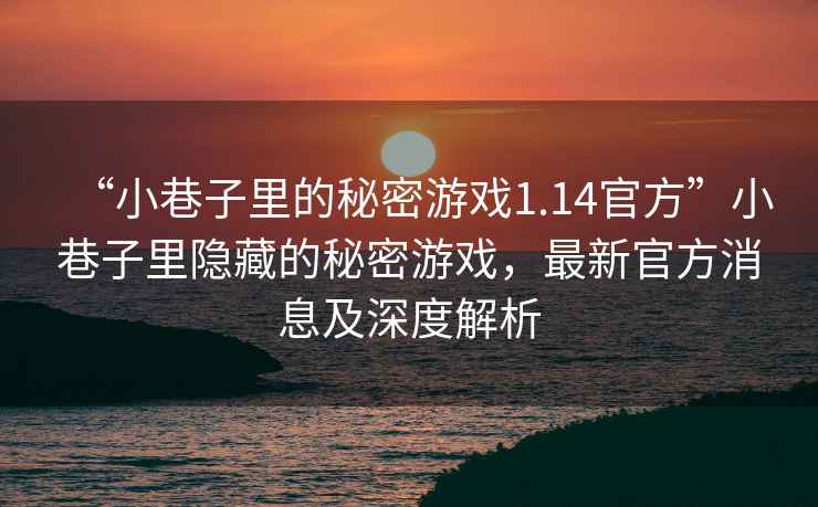 “小巷子里的秘密游戲1.14官方”小巷子里隱藏的秘密游戲，最新官方消息及深度解析