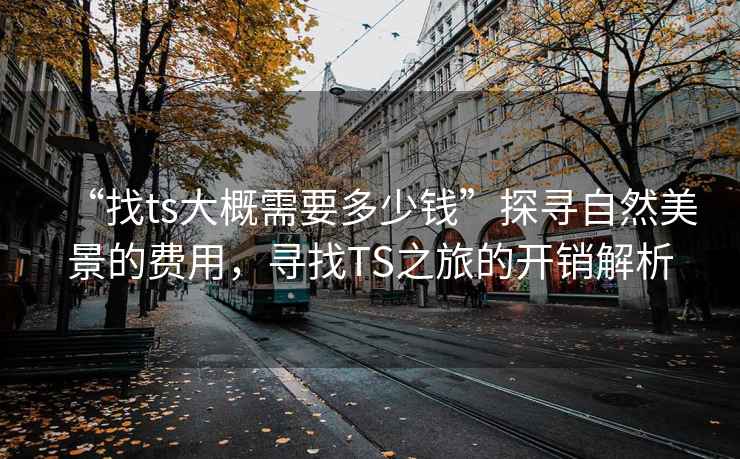 “找ts大概需要多少錢(qián)”探尋自然美景的費用，尋找TS之旅的開(kāi)銷(xiāo)解析