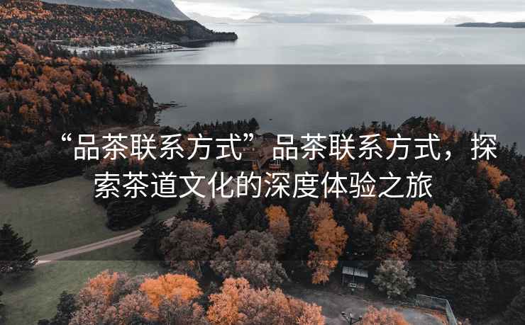 “品茶聯(lián)系方式”品茶聯(lián)系方式，探索茶道文化的深度體驗之旅