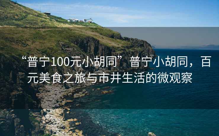 “普寧100元小胡同”普寧小胡同，百元美食之旅與市井生活的微觀(guān)察