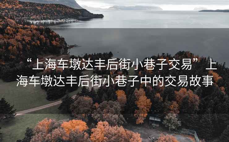 “上海車(chē)墩達豐后街小巷子交易”上海車(chē)墩達豐后街小巷子中的交易故事