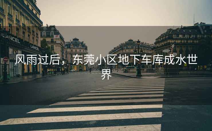 風(fēng)雨過(guò)后，東莞小區地下車(chē)庫成水世界
