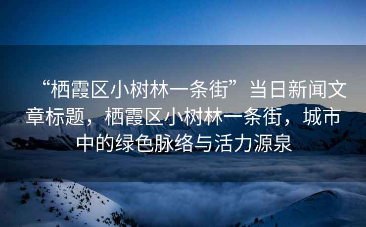 “棲霞區小樹(shù)林一條街”當日新聞文章標題，棲霞區小樹(shù)林一條街，城市中的綠色脈絡(luò )與活力源泉