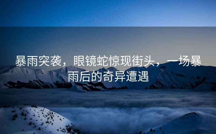 暴雨突襲，眼鏡蛇驚現街頭，一場(chǎng)暴雨后的奇異遭遇