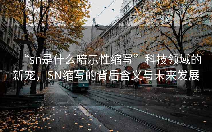 “sn是什么暗示性縮寫(xiě)”科技領(lǐng)域的新寵，SN縮寫(xiě)的背后含義與未來(lái)發(fā)展
