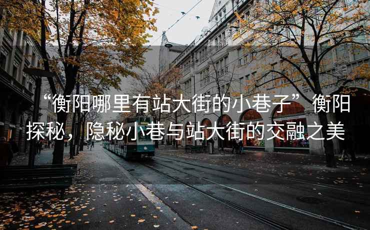 “衡陽(yáng)哪里有站大街的小巷子”衡陽(yáng)探秘，隱秘小巷與站大街的交融之美