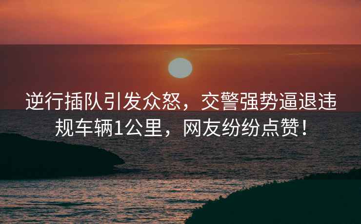 逆行插隊引發(fā)眾怒，交警強勢逼退違規車(chē)輛1公里，網(wǎng)友紛紛點(diǎn)贊！