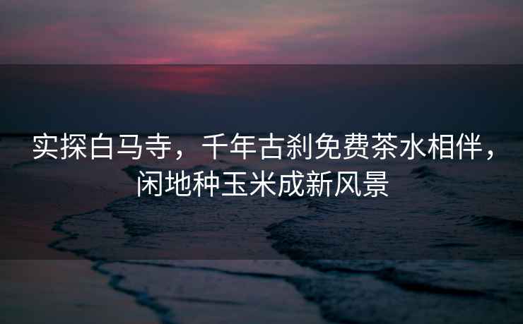 實(shí)探白馬寺，千年古剎免費茶水相伴，閑地種玉米成新風(fēng)景