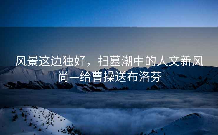 風(fēng)景這邊獨好，掃墓潮中的人文新風(fēng)尚—給曹操送布洛芬