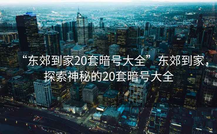 “東郊到家20套暗號大全”東郊到家，探索神秘的20套暗號大全