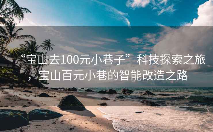 “寶山去100元小巷子”科技探索之旅，寶山百元小巷的智能改造之路