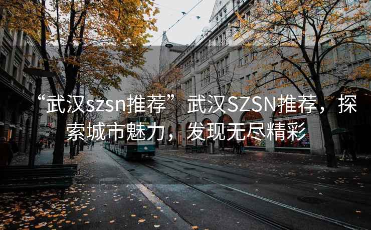 “武漢szsn推薦”武漢SZSN推薦，探索城市魅力，發(fā)現無(wú)盡精彩