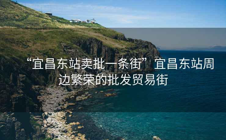 “宜昌東站賣(mài)批一條街”宜昌東站周邊繁榮的批發(fā)貿易街