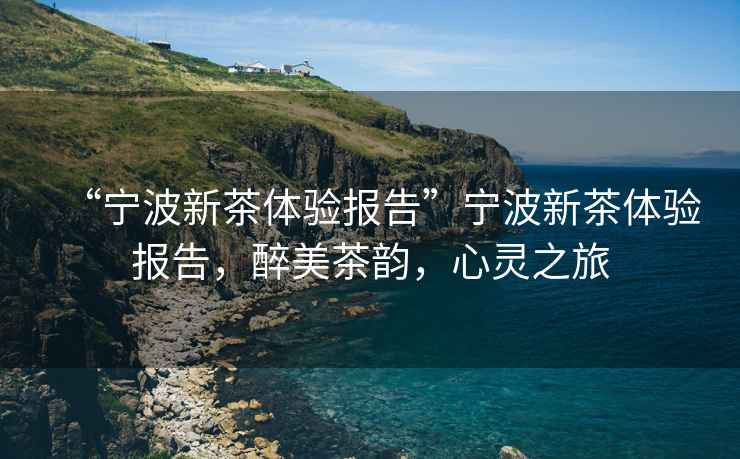 “寧波新茶體驗報告”寧波新茶體驗報告，醉美茶韻，心靈之旅
