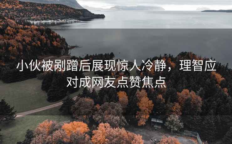 小伙被剮蹭后展現驚人冷靜，理智應對成網(wǎng)友點(diǎn)贊焦點(diǎn)