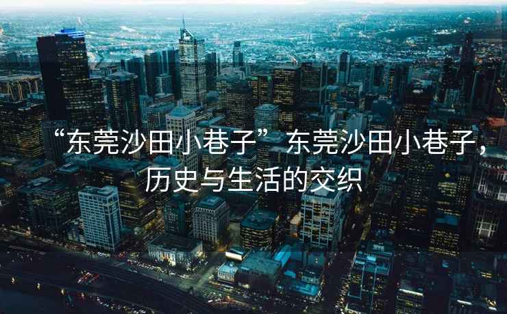 “東莞沙田小巷子”東莞沙田小巷子，歷史與生活的交織