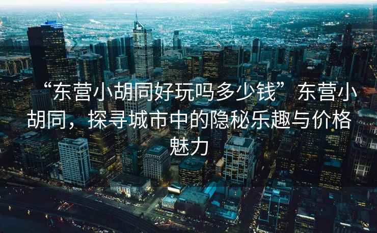“東營(yíng)小胡同好玩嗎多少錢(qián)”東營(yíng)小胡同，探尋城市中的隱秘樂(lè )趣與價(jià)格魅力