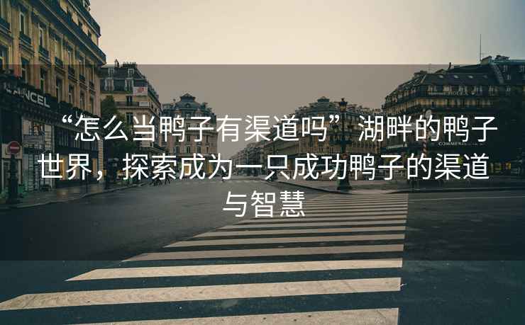 “怎么當鴨子有渠道嗎”湖畔的鴨子世界，探索成為一只成功鴨子的渠道與智慧