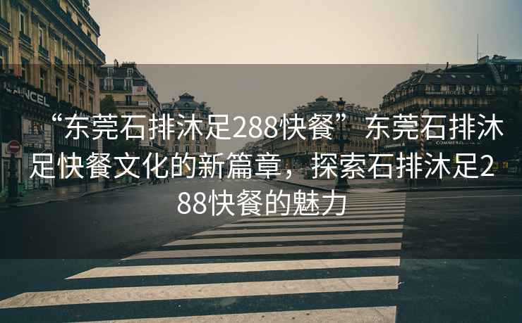 “東莞石排沐足288快餐”東莞石排沐足快餐文化的新篇章，探索石排沐足288快餐的魅力