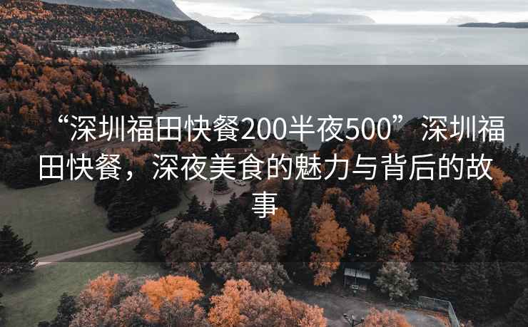 “深圳福田快餐200半夜500”深圳福田快餐，深夜美食的魅力與背后的故事
