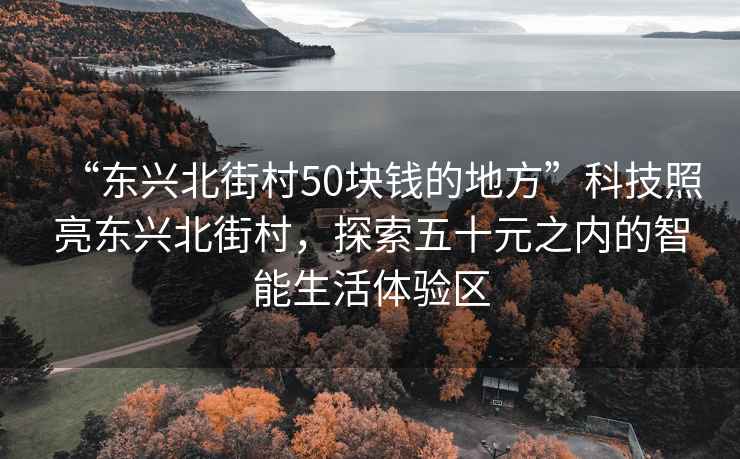 “東興北街村50塊錢(qián)的地方”科技照亮東興北街村，探索五十元之內的智能生活體驗區