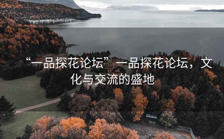 “一品探花論壇”一品探花論壇，文化與交流的盛地