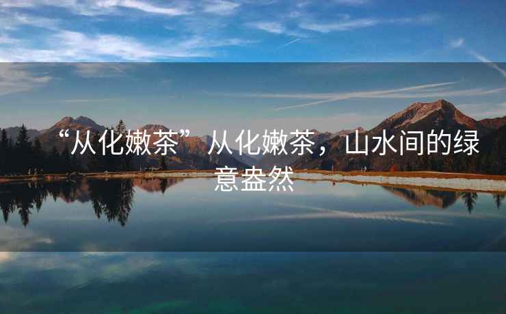 “從化嫩茶”從化嫩茶，山水間的綠意盎然